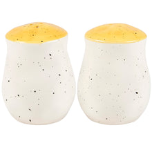 Load image into Gallery viewer, Bee Salt + Pepper Set