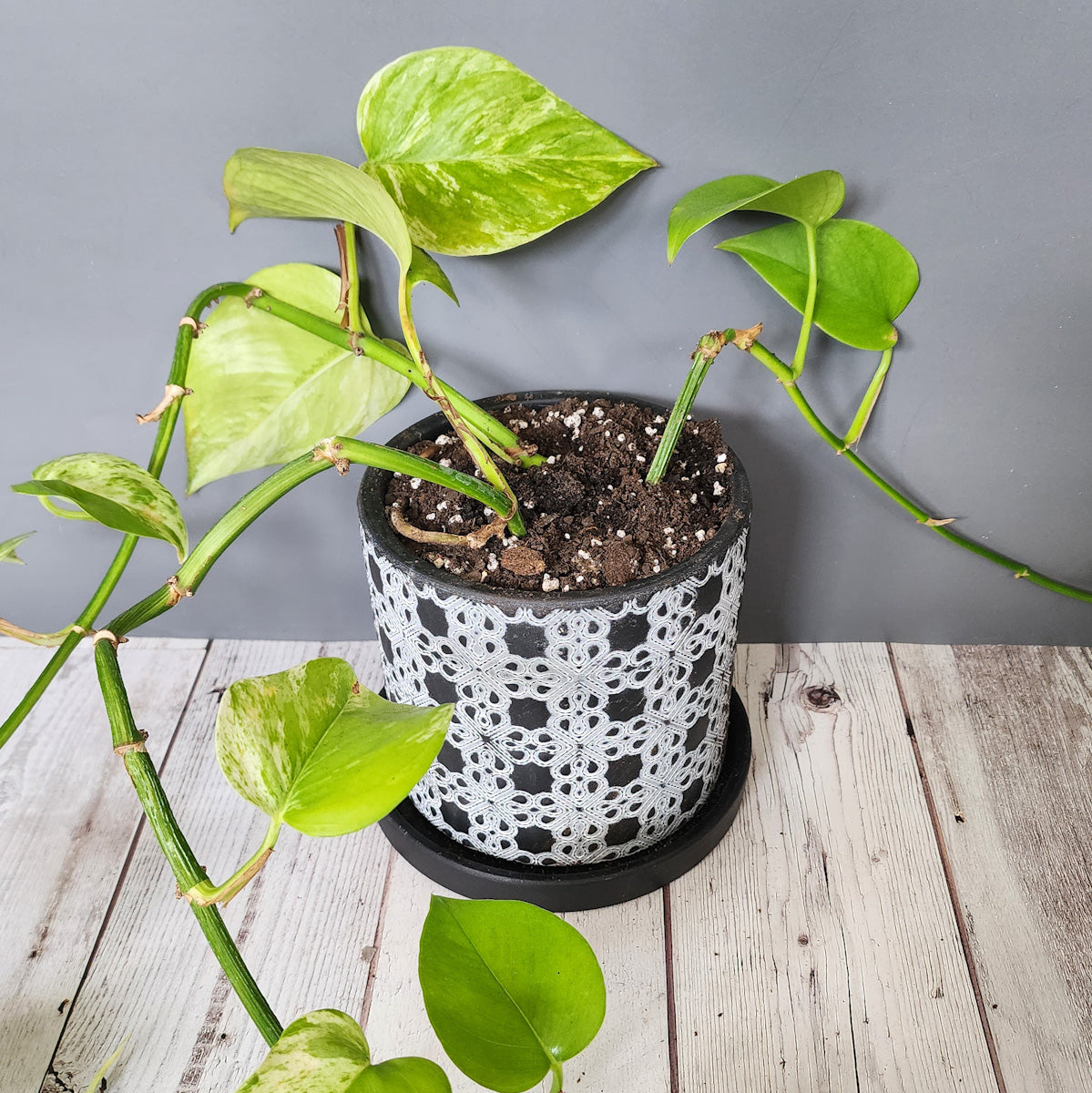 5 inch ceramic plant pots Black Lattice medium 5 inch ceramic planter pot