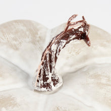 Load image into Gallery viewer, White Chalky Pumpkin