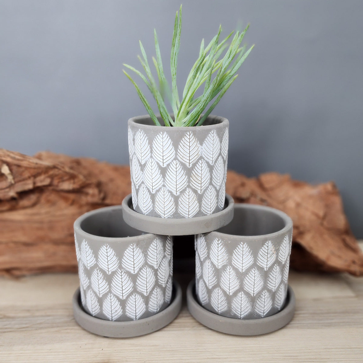 grey ceramic pots for plants Grey Leaves small 3.5 inch ceramic planter pot – Victory Road Farm