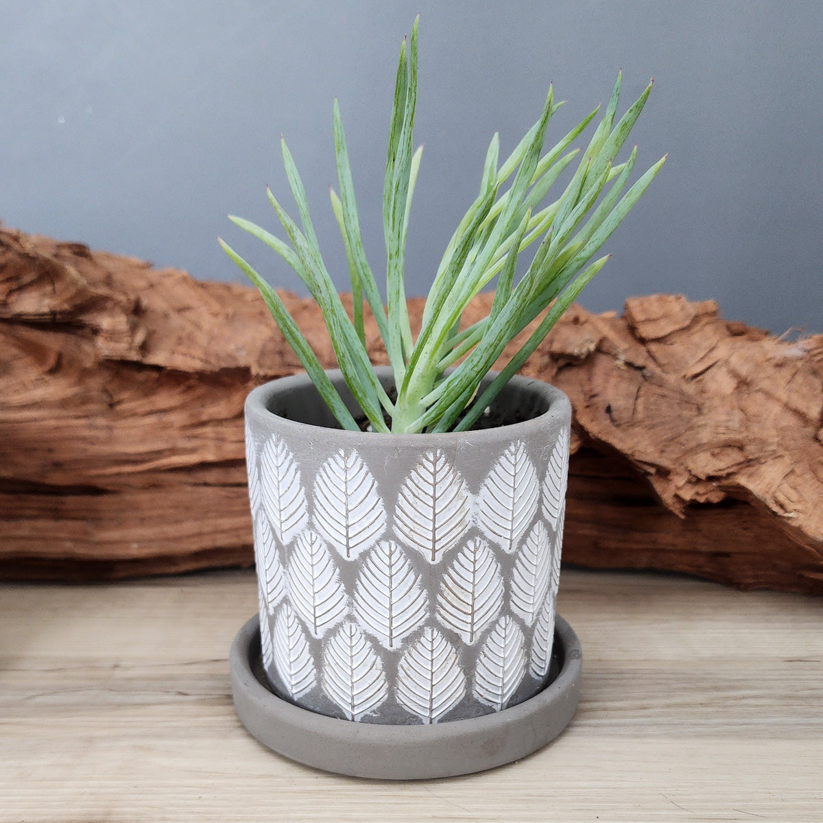 small grey plant pot Grey Leaves small 3.5 inch ceramic planter pot
