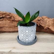 Load image into Gallery viewer, Grey Paisley small 3.5 inch ceramic planter pot
