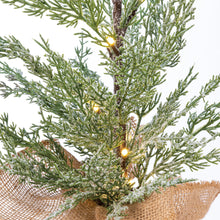 Load image into Gallery viewer, Potted Lighted Cedar Tree