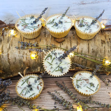 Load image into Gallery viewer, Lavender + Cedarwood Fire Starter Gift Set