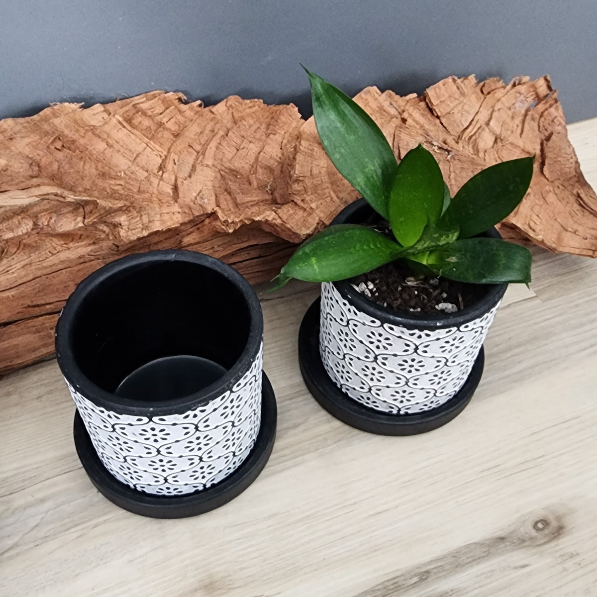 small black ceramic plant pot Black Flowers small 3.5 inch ceramic planter pot