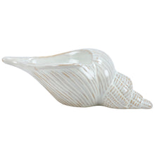 Load image into Gallery viewer, Conch Shell Planter Sitter
