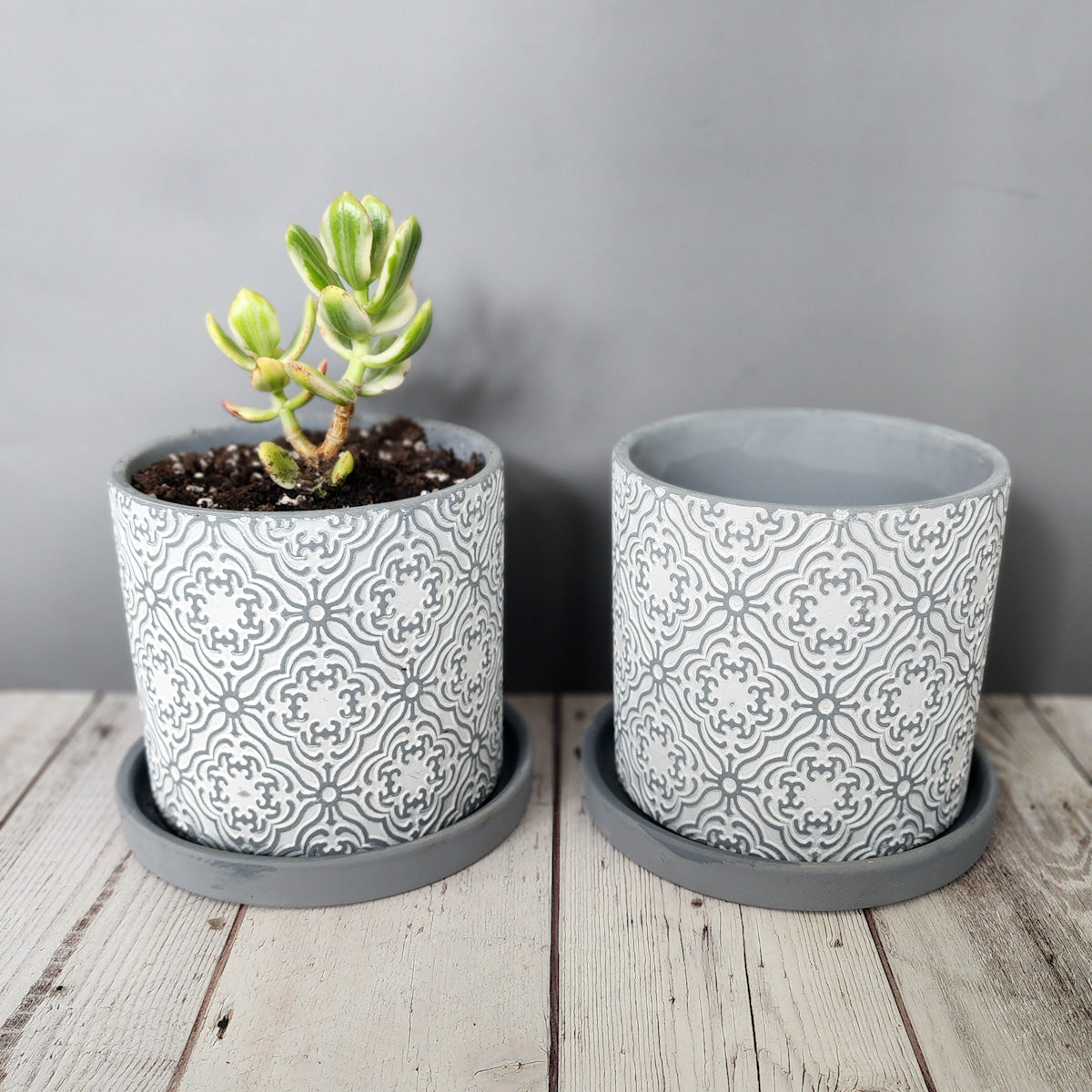 5 inch ceramic plant pots Grey Paisley medium 5 inch ceramic planter pot
