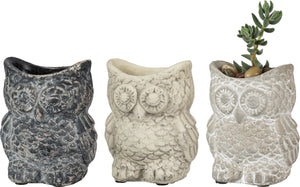 Owl cement planter pot