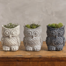 Load image into Gallery viewer, Owl cement planter pot
