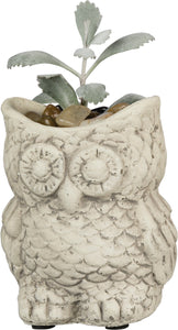 Owl cement planter pot