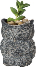 Load image into Gallery viewer, Owl cement planter pot
