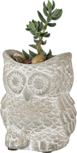 Load image into Gallery viewer, Owl cement planter pot
