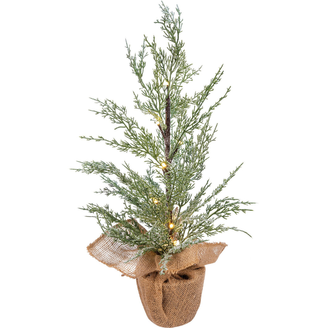 Potted Lighted Cedar Tree
