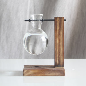 Rustic Plant Propagation Stand