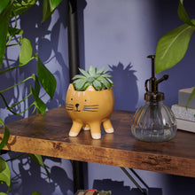 Load image into Gallery viewer, Cat Planter Pot
