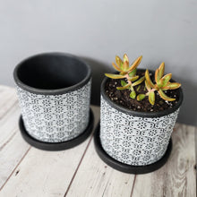 Load image into Gallery viewer, White Flowers medium 5 inch ceramic planter pot
