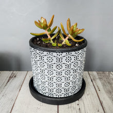 Load image into Gallery viewer, White Flowers medium 5 inch ceramic planter pot
