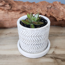 Load image into Gallery viewer, White Leaves small 3.5 inch ceramic planter pot
