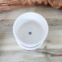 Load image into Gallery viewer, White Leaves small 3.5 inch ceramic planter pot
