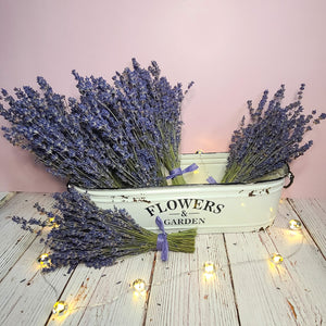 Folgate Dried English Lavender Bouquet