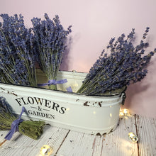 Load image into Gallery viewer, Folgate Dried English Lavender Bouquet
