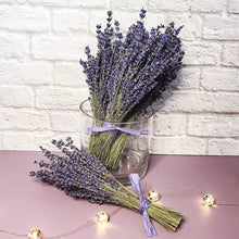 Load image into Gallery viewer, Royal Velvet Dried English Lavender Bouquet
