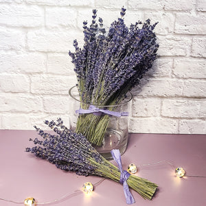 Royal Velvet Dried English Lavender Bouquet