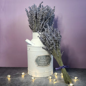 Silver Frost Dried English Lavender Bouquet