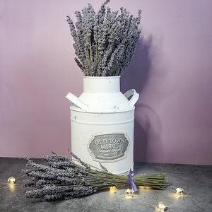 Silver Frost Dried English Lavender Bouquet