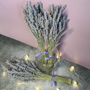 Silver Frost Dried English Lavender Bouquet