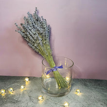 Load image into Gallery viewer, Silver Frost Dried English Lavender Bouquet
