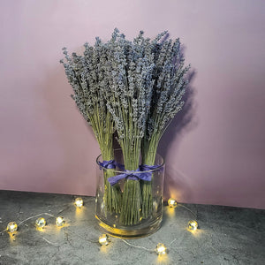 Silver Frost Dried English Lavender Bouquet